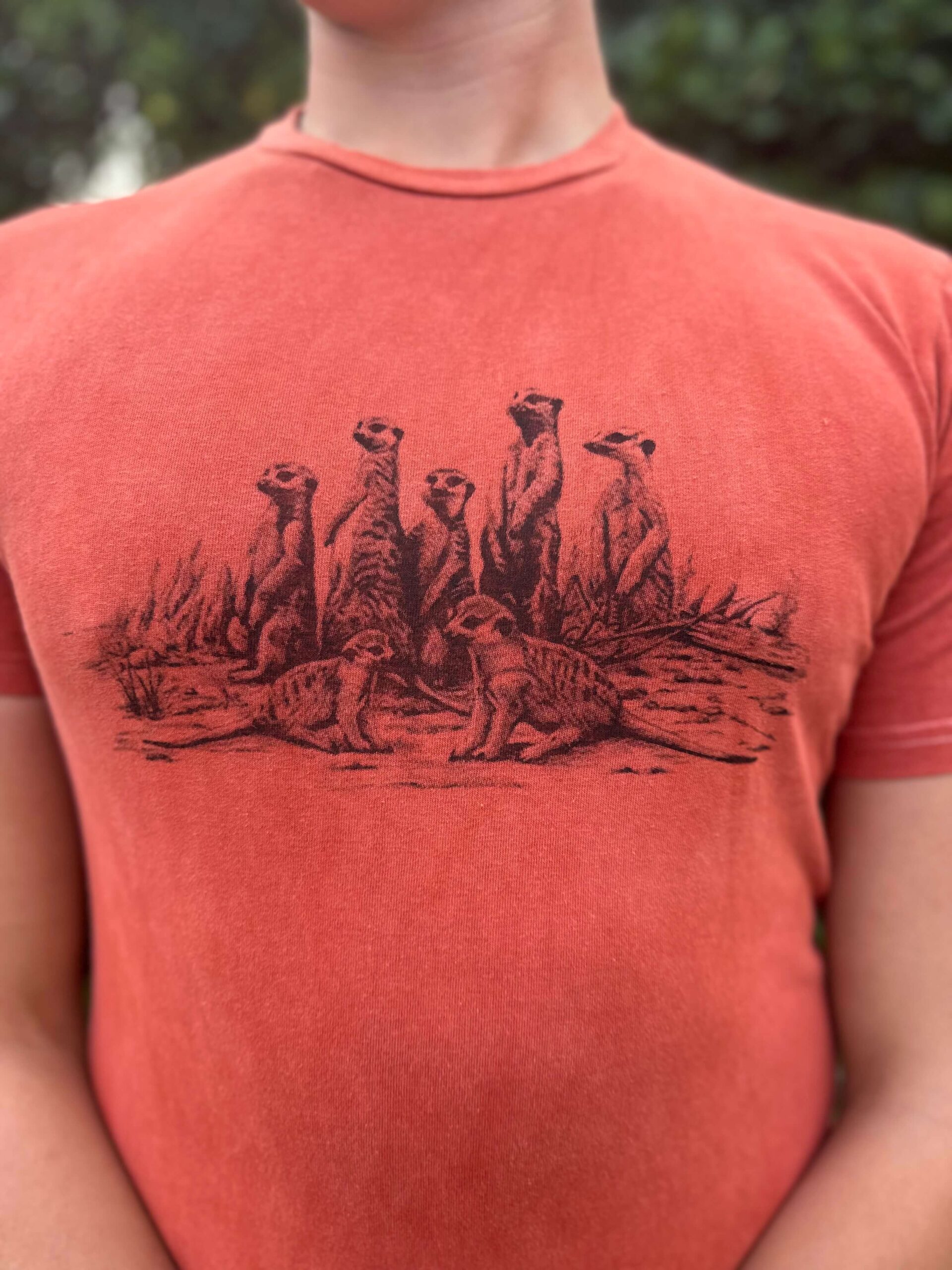 Design 63 Meerkats